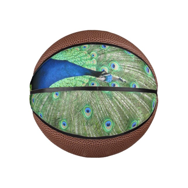 Basketball - Peacock with Tailfeathers (Front)