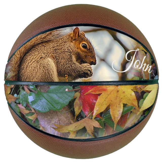 Basketball Squirrel (Front)