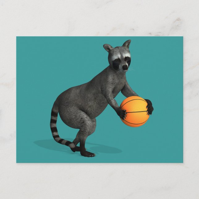 Basketballer Racoon Postcard (Front)