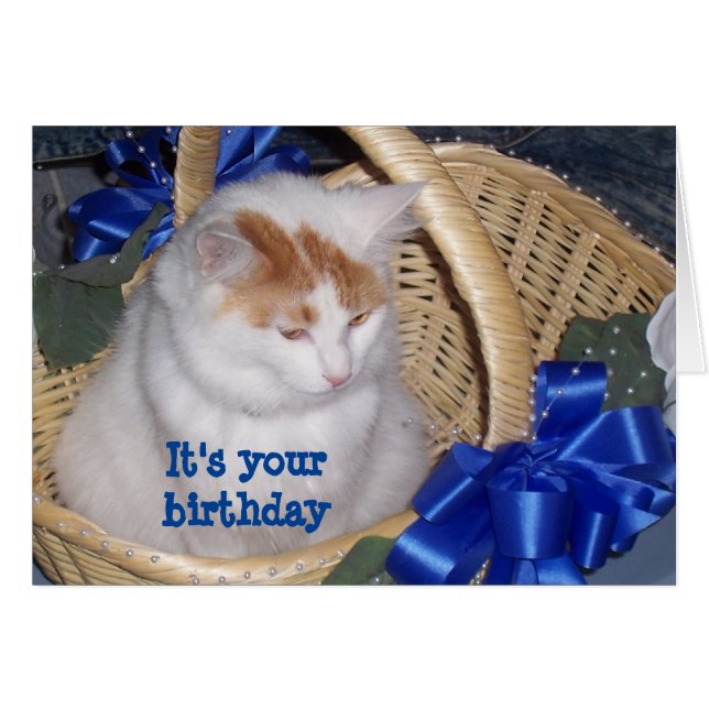 BASKETFUL OF **PURRRFECT** BIRTHDAY WISHES (Front Horizontal)