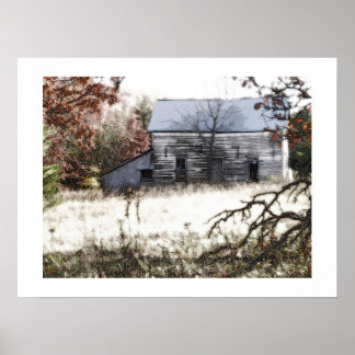 BASKING IN THE AUTUMN'S SUN POSTER