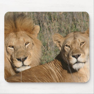 Basking in the Sun - Mousepad