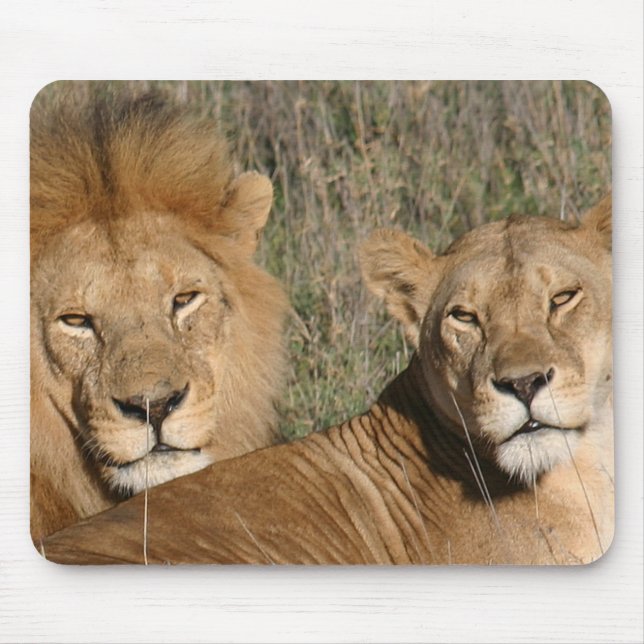 Basking in the Sun - Mousepad (Front)