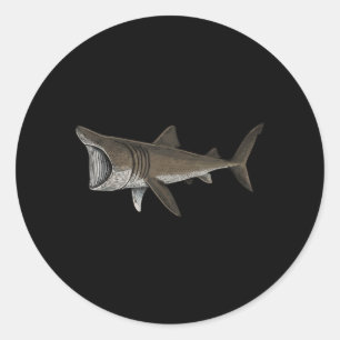 Basking Shark Classic Round Sticker