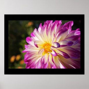 Baslee Troutman Galleries Dahlia Art Prints