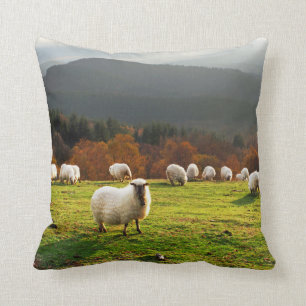 basque country typical latxa sheep cushion