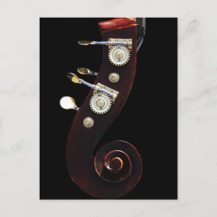 Bass 2 pccnm postcard