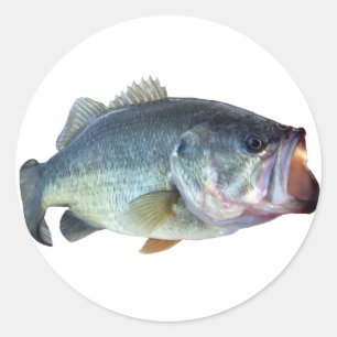 Bass Fish Classic Round Sticker