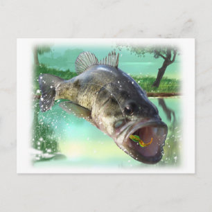 bass fish green postcard