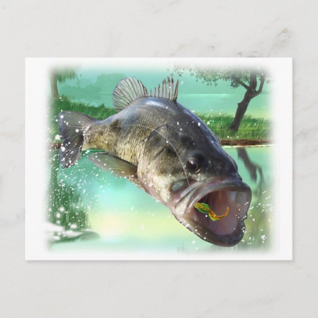 bass fish green postcard (Front)