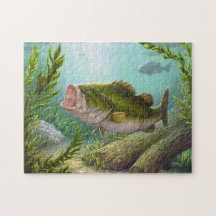 Bass Fish