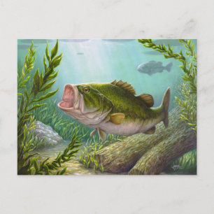 Bass Fish Postcard