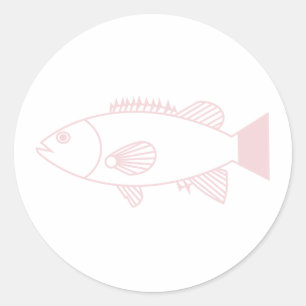 Bass Groper Fish in Pastel Pink on White Classic Round Sticker