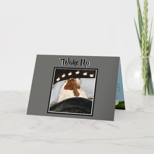 Basset "Counting Sheep" On Funny Birthday Card (Front)