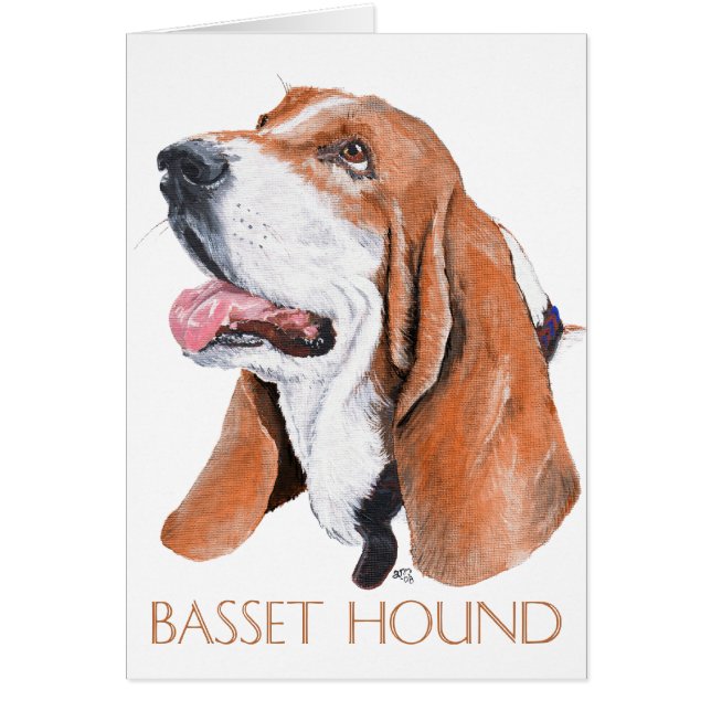 Basset Hound (Front)