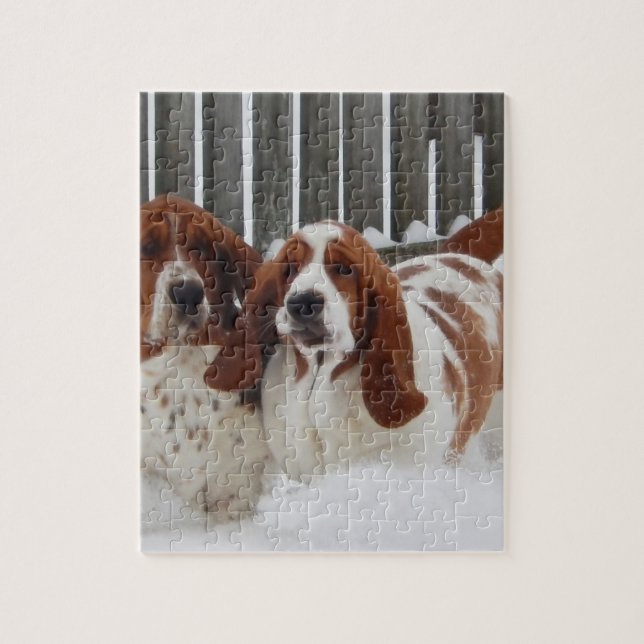 Basset Hound 8x10 Photo Puzzle with Gift Box (Vertical)
