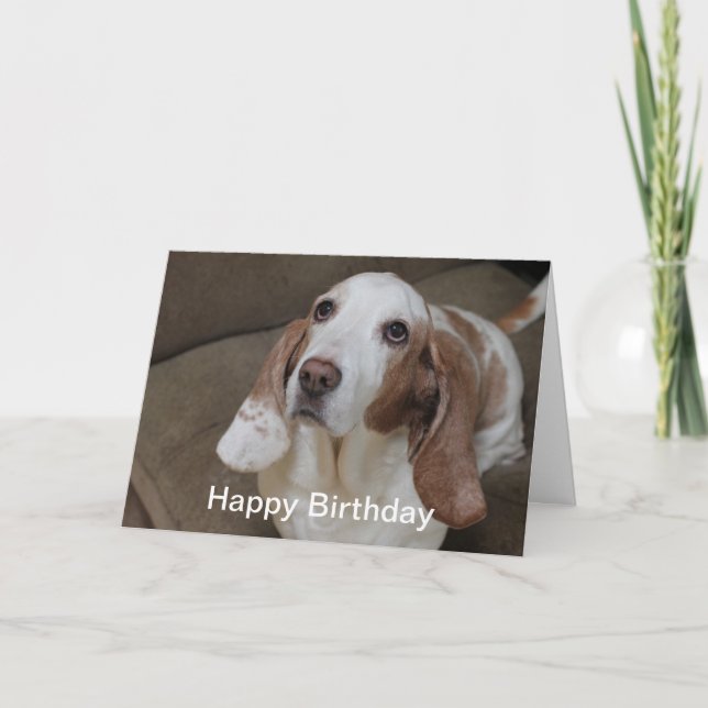 Basset Hound Birthday Card (Front)