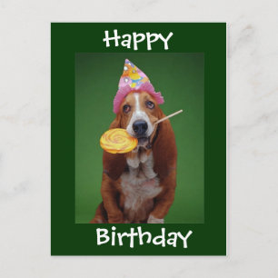 Basset Hound Birthday Lollipop Postcard