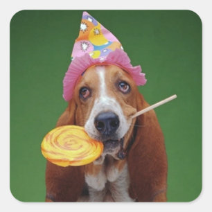 Basset Hound Birthday Lollipop Square Sticker