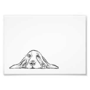 basset hound black white simple puppy dog eyes photo print