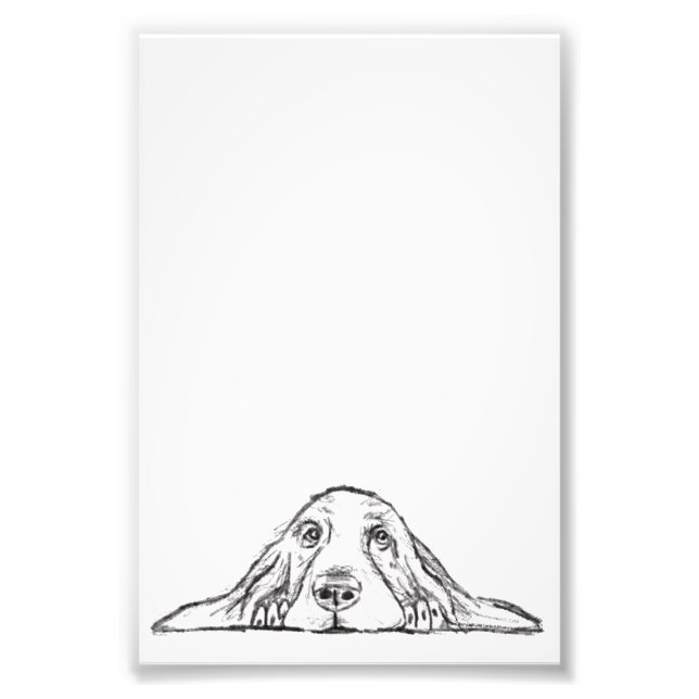 basset hound black white simple puppy dog eyes photo print (Front)