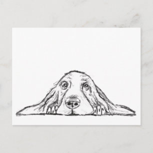 basset hound black white simple puppy dog eyes  postcard