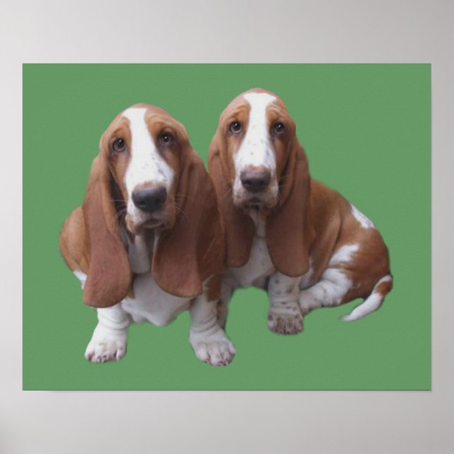 Basset Hound Buddies Print (Front)