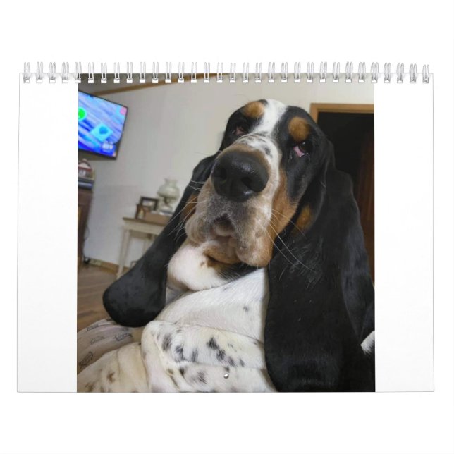 Basset Hound calendar (Cover)