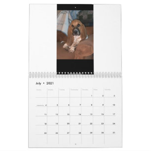 Basset Hound calendar