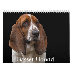 Basset Hound Calendar