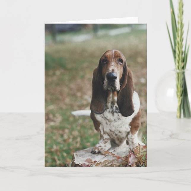 Basset Hound Card (Front)