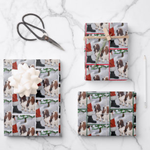 Basset Hound Christmas Wrapping Paper Sheet