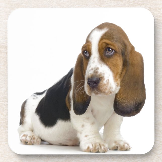 Basset Hound Coaster (Front)