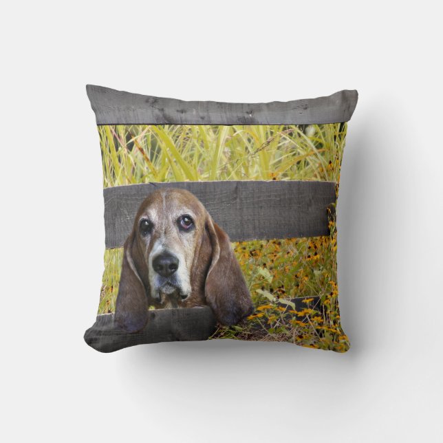 Basset hound cushion (Front)