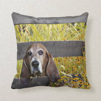 Basset hound cushion