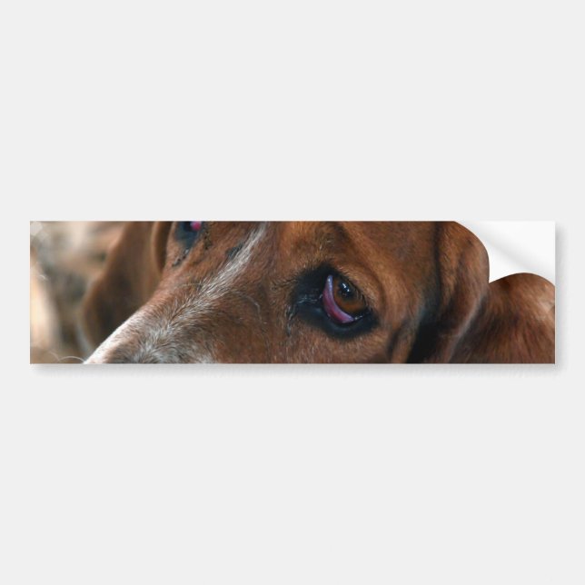 Basset Hound Design Bumper Stickers (Front)