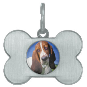 Basset Hound Dog Design Pet Tag