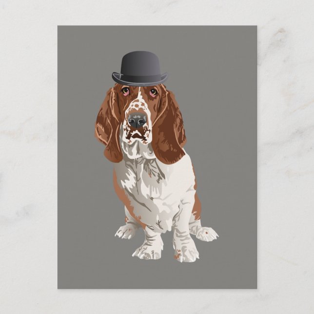 Basset Hound Dog Postcard (Front)