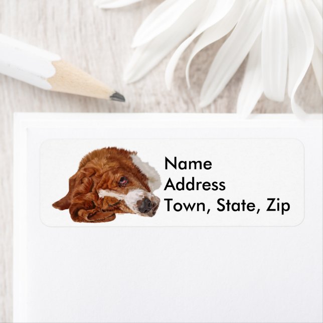 Basset Hound Dog  Return Address Label (Insitu)