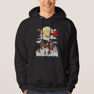 Basset Hound Dog Santa Sleigh Christmas Lover Hoodie