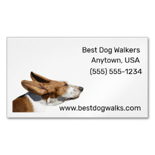 Basset Hound Dog Walker Business Card Magnet