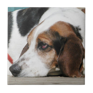 Basset Hound face tile