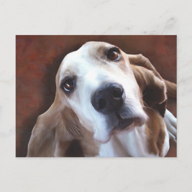 Basset Hound Fine Art Painting Portrait Postcard (Front)