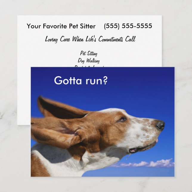 Basset Hound Flapping Ears in Blue Sky Pet Sitter  Postcard (Front/Back)