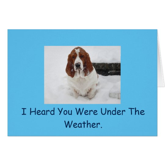 Basset Hound get well card. Card