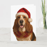 Basset Hound in a Santa hat Christmas card