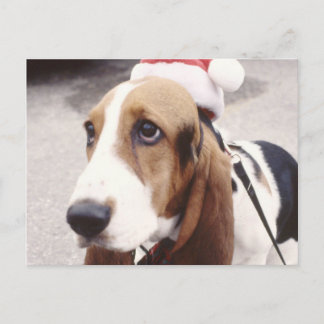 Basset Hound in Santa Hat Holiday Postcard