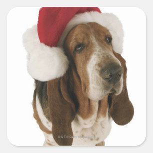 Basset hound in Santa hat Square Sticker
