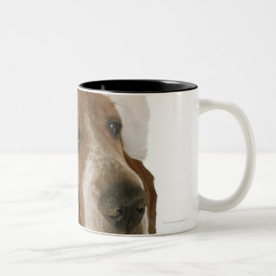 Basset hound in Santa hat Two-Tone Coffee Mug