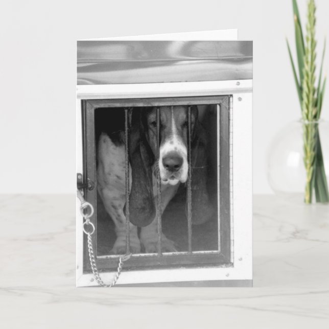 basset hound jail card (Front)